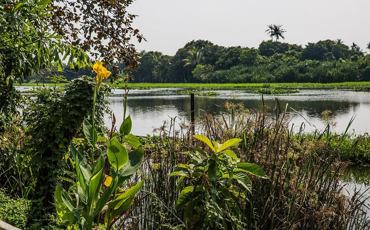 Lush waterside planting at Sampran Riverside in Nakhon Pathom